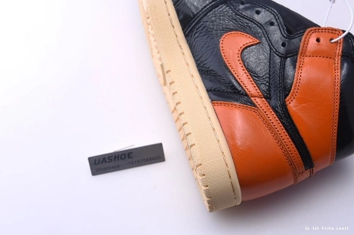 Backboard Jordan Shattered 3.0 555088-028 Air 1 0419